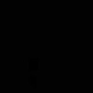 Meet your Posher, Graycee